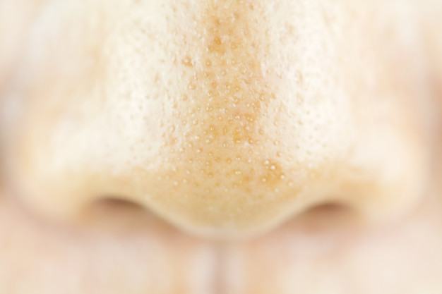 Cosmetic Dermatology